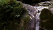 Waterfall in a forest in the North Caucasus