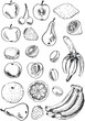 Fruit set doodles Fruit set doodles