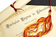 Bachelor of Education