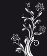 White ornate floral pattern isolated on black White ornate floral pattern isolated on black