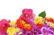 spring flowers