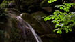 Waterfall in a forest in the North Caucasus