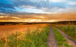 A sunset photo of road and countryside A sunset photo of road and countryside