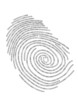 Binary finger print, vector