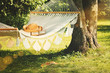 View of hammock and book  on a summer day