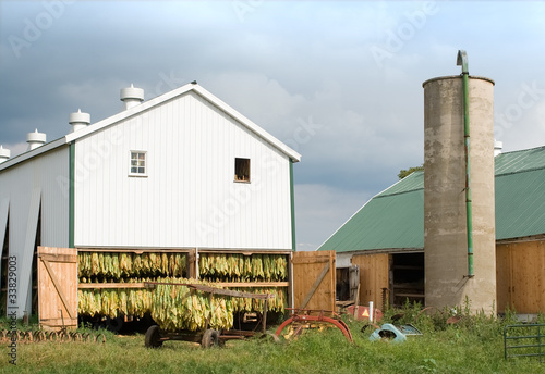 Photo: Tobacco barn on an Amish farm in Lancaster County Tobacco barn on an Amish farm in Lancaster County