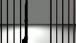 Freedom, getting out of jail