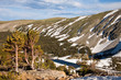 Lake Isabelle Vista in Colorado Lake Isabelle Vista in Colorado