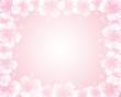 hibiscus background hibiscus background