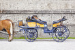 horse drawn carriage