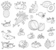 Doodle fruits, berries