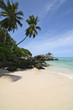 Plage et cocotier, paradis