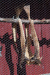 Dry cod fish Dry cod fish