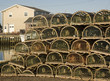 Lobster Traps