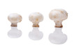Three mushrooms
