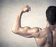 Biceps