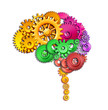 Human brain function