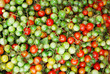 green tomato