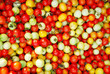 ripe tomato