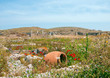 Agora -  ruins of the market on the island of  Delos