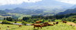 Prairie de la Plaine des Palmistes, La Réunion.