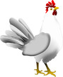 Poule