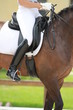 dressage chevaux
