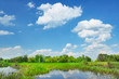 Rural landscape with flood waters of Narew river, Poland.