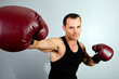 Foto: Boxer Boxer