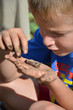 Boy Looking at a Worm on His Hand