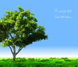 Card with stylized tree and text. Vector Card with stylized tree and text. Vector