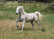 Photo: Bewegungswunder Bewegungswunder