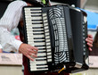 accordion player accordion player