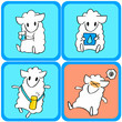 sheep-heatdisorder-moisture-replenishment