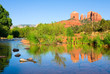 Photo en ligne au meilleur prix Cathedral Rock in Sedona, Arizona