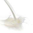 milk splash
