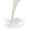 Photo: milk splash milk splash
