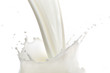 Photo: milk splash milk splash