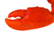 pince de homard breton