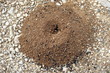 fourmilière fourmilière