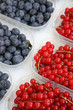 Au marché : Groseilles et Myrtilles #2