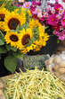 Au marché : Fleurs de Tournesol, Cosmos et Haricots Beurre Au marché : Fleurs de Tournesol, Cosmos et Haricots Beurre