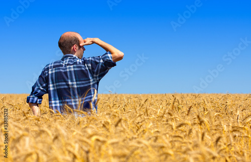 Photo: Farmer in wheat field Farmer in wheat field