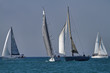Italy, Sicily, Mediterranean Sea, sailboats race Italy, Sicily, Mediterranean Sea, sailboats race