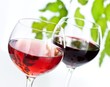 Foto: Wine Wine