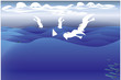seagulls in the middle of the sea