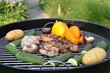 garden barbecue