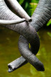 Tangled Trunks