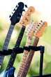 Guitars