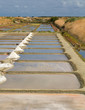 marais salants